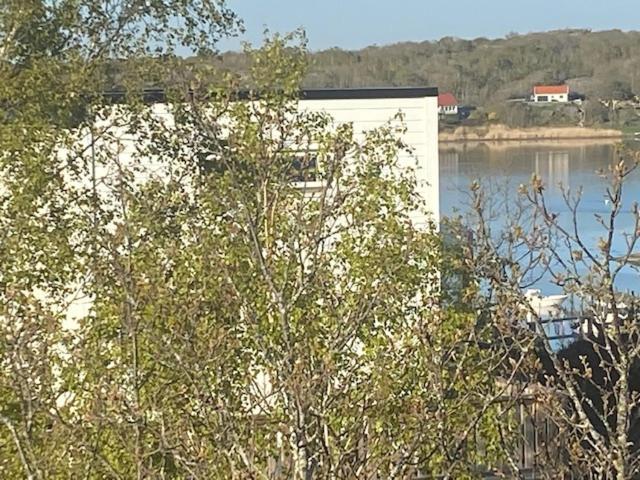 Mycket Trevlig Stuga Pa Braennoe Med Havsutsikt Branno Eksteriør billede