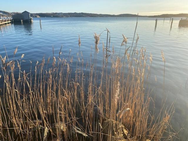 Mycket Trevlig Stuga Pa Braennoe Med Havsutsikt Branno Eksteriør billede